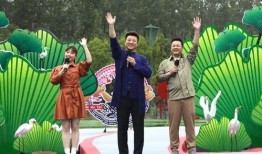 都市爆料诈骗案例最新视频,视频揭露诈骗手段，警惕陷阱！