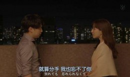 分手第二天在线观看,回忆与释怀的在线情感之旅